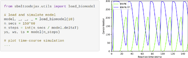 Figure 1 for SBMLtoODEjax: efficient simulation and optimization of ODE SBML models in JAX