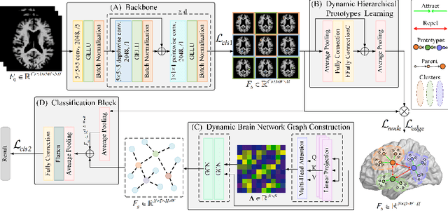 Figure 1 for Dynamic Structural Brain Network Construction by Hierarchical Prototype Embedding GCN using T1-MRI