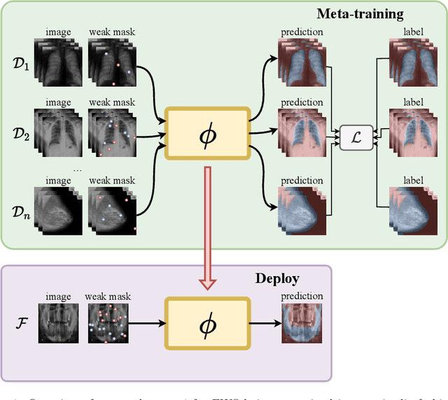 Figure 1 for Meta-Learners for Few-Shot Weakly-Supervised Medical Image Segmentation