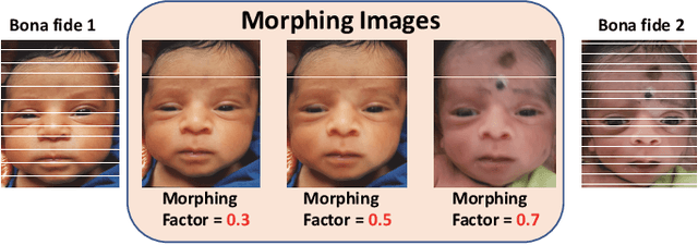 Figure 1 for Differential Newborn Face Morphing Attack Detection using Wavelet Scatter Network