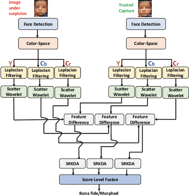 Figure 2 for Differential Newborn Face Morphing Attack Detection using Wavelet Scatter Network