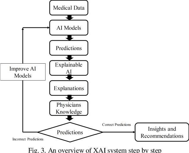 Figure 3 for A Review on Explainable Artificial Intelligence for Healthcare: Why, How, and When?