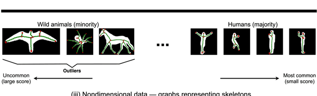 Figure 1 for McCatch: Scalable Microcluster Detection in Dimensional and Nondimensional Datasets