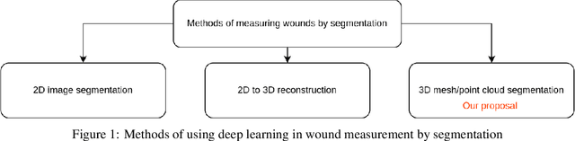 Figure 1 for Advancing Wound Filling Extraction on 3D Faces: Auto-Segmentation and Wound Face Regeneration Approach