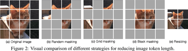 Figure 2 for An Inverse Scaling Law for CLIP Training