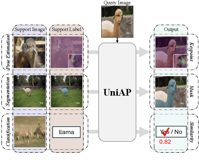 Figure 1 for UniAP: Towards Universal Animal Perception in Vision via Few-shot Learning