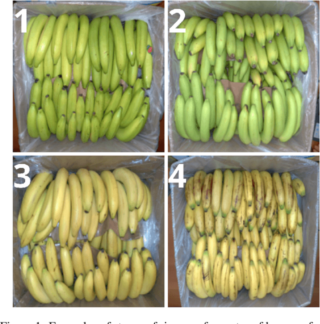 Figure 1 for Stop overkilling simple tasks with black-box models and use transparent models instead