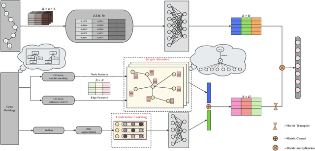Figure 2 for DeepGATGO: A Hierarchical Pretraining-Based Graph-Attention Model for Automatic Protein Function Prediction