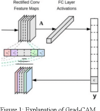 Figure 1 for Analysis of Explainable Artificial Intelligence Methods on Medical Image Classification