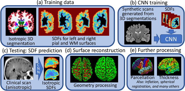 Figure 1 for Cortical analysis of heterogeneous clinical brain MRI scans for large-scale neuroimaging studies