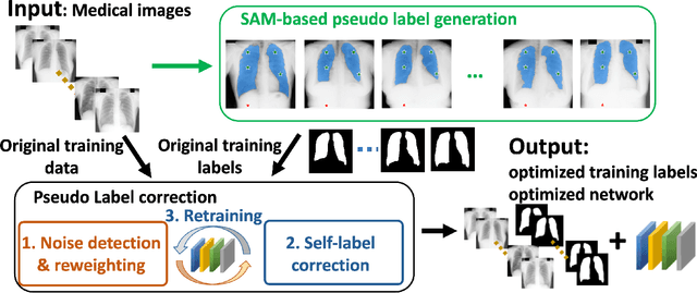 Figure 2 for Push the Boundary of SAM: A Pseudo-label Correction Framework for Medical Segmentation