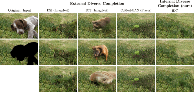 Figure 1 for Internal Diverse Image Completion