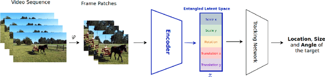 Figure 1 for $β$-Multivariational Autoencoder for Entangled Representation Learning in Video Frames