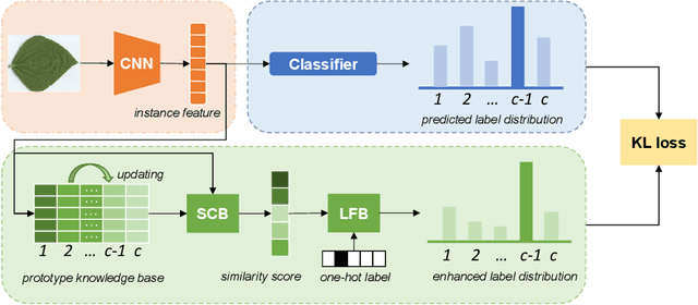 Figure 3 for Leaf Cultivar Identification via Prototype-enhanced Learning