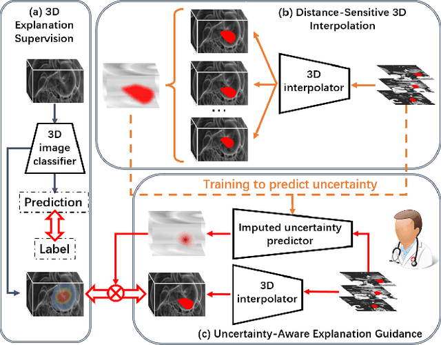 Figure 1 for DUE: Dynamic Uncertainty-Aware Explanation Supervision via 3D Imputation