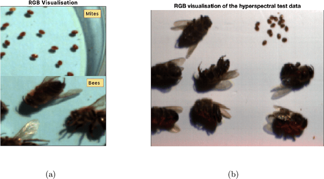 Figure 4 for Varroa destructor detection on honey bees using hyperspectral imagery