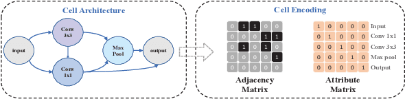 Figure 3 for DCLP: Neural Architecture Predictor with Curriculum Contrastive Learning