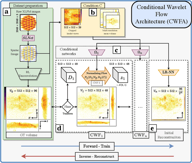 Figure 1 for Fast light-field 3D microscopy with out-of-distribution detection and adaptation through Conditional Normalizing Flows