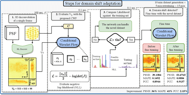 Figure 2 for Fast light-field 3D microscopy with out-of-distribution detection and adaptation through Conditional Normalizing Flows