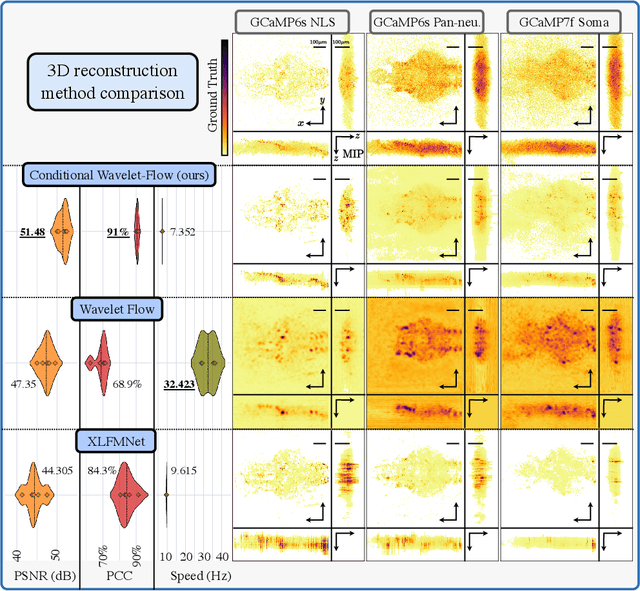 Figure 3 for Fast light-field 3D microscopy with out-of-distribution detection and adaptation through Conditional Normalizing Flows