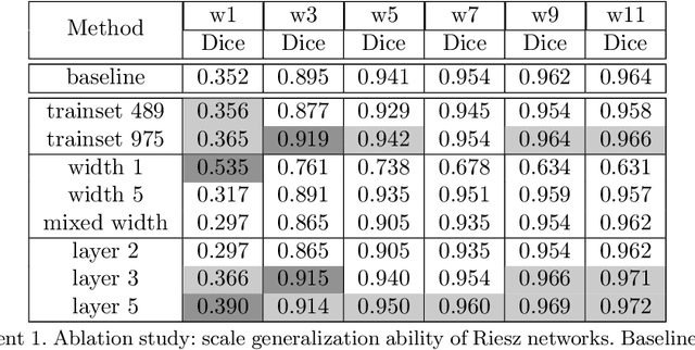 Figure 2 for Riesz networks: scale invariant neural networks in a single forward pass