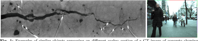 Figure 1 for Riesz networks: scale invariant neural networks in a single forward pass