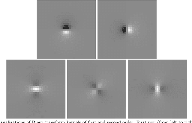 Figure 3 for Riesz networks: scale invariant neural networks in a single forward pass