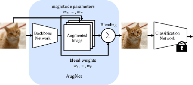 Figure 1 for AugNet: Dynamic Test-Time Augmentation via Differentiable Functions