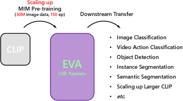 Figure 1 for EVA: Exploring the Limits of Masked Visual Representation Learning at Scale