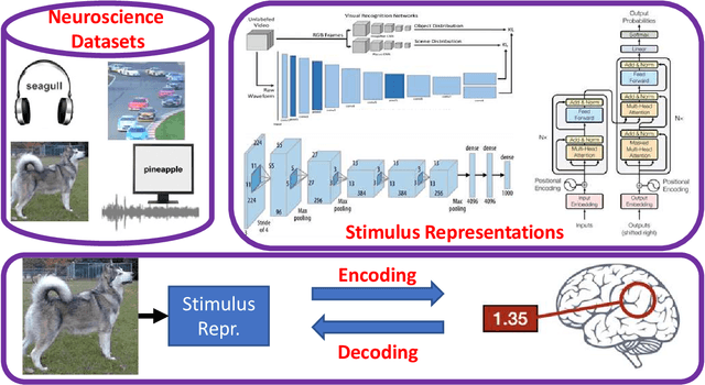 Figure 1 for Deep Neural Networks and Brain Alignment: Brain Encoding and Decoding (Survey)