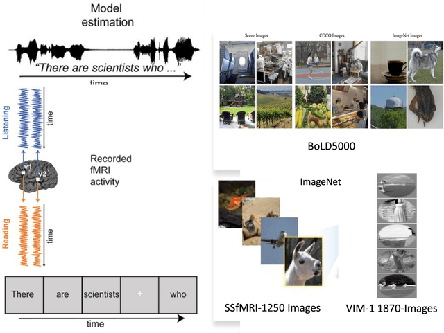 Figure 3 for Deep Neural Networks and Brain Alignment: Brain Encoding and Decoding (Survey)
