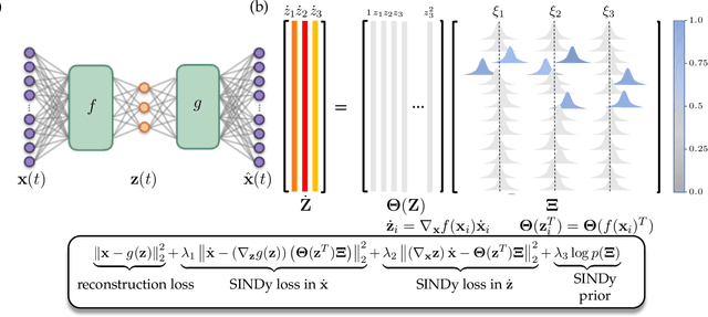 Figure 1 for Bayesian autoencoders for data-driven discovery of coordinates, governing equations and fundamental constants