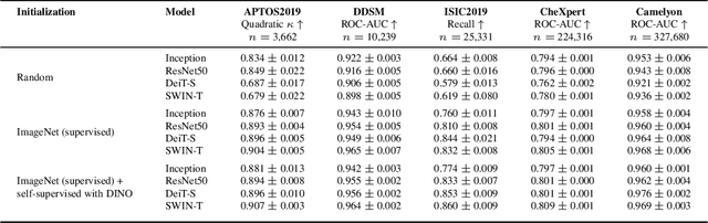 Figure 1 for Pretrained ViTs Yield Versatile Representations For Medical Images