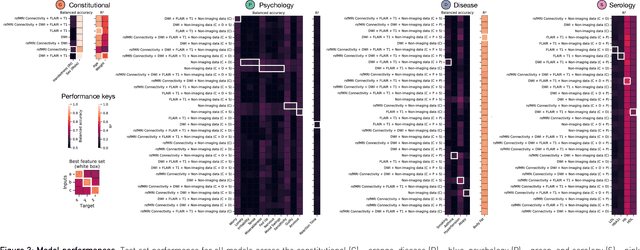 Figure 4 for The legibility of the imaged human brain