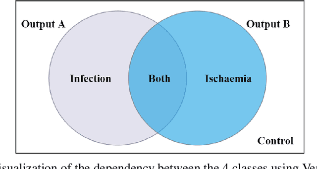 Figure 3 for Venn Diagram Multi-label Class Interpretation of Diabetic Foot Ulcer with Color and Sharpness Enhancement