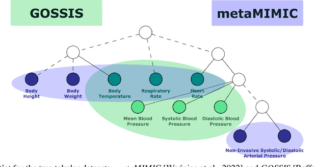 Figure 1 for SeFNet: Bridging Tabular Datasets with Semantic Feature Nets
