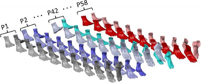 Figure 1 for 4D Feet: Registering Walking Foot Shapes Using Attention Enhanced Dynamic-Synchronized Graph Convolutional LSTM Network