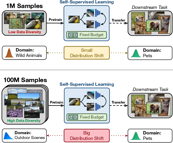 Figure 1 for On Pretraining Data Diversity for Self-Supervised Learning