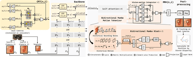 Figure 1 for Motion-Guided Dual-Camera Tracker for Low-Cost Skill Evaluation of Gastric Endoscopy