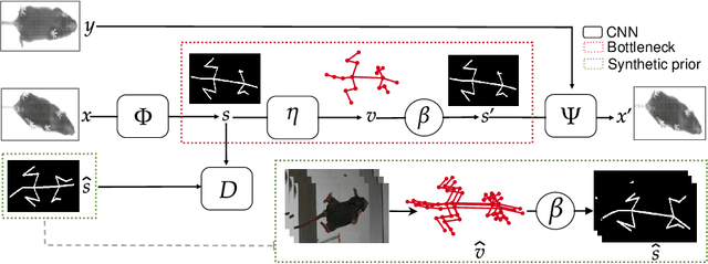 Figure 1 for Of Mice and Pose: 2D Mouse Pose Estimation from Unlabelled Data and Synthetic Prior