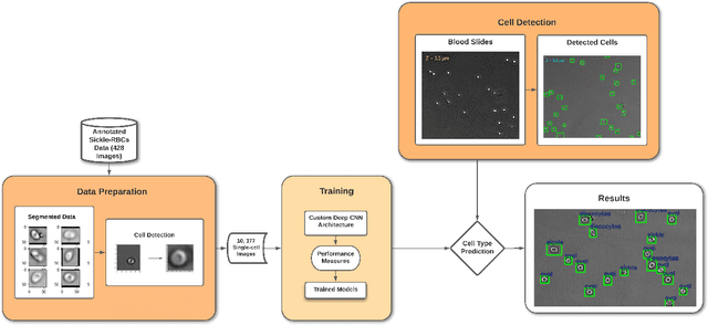 Figure 3 for A Novel Deep Learning based Model for Erythrocytes Classification and Quantification in Sickle Cell Disease