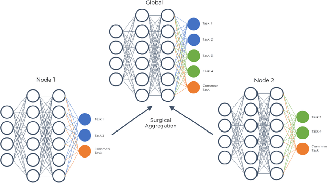 Figure 3 for Surgical Aggregation: A Federated Learning Framework for Harmonizing Distributed Datasets with Diverse Tasks