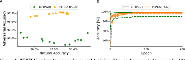 Figure 4 for Efficient Biologically Plausible Adversarial Training