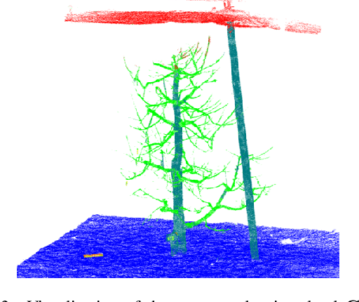 Figure 4 for CherryPicker: Semantic Skeletonization and Topological Reconstruction of Cherry Trees