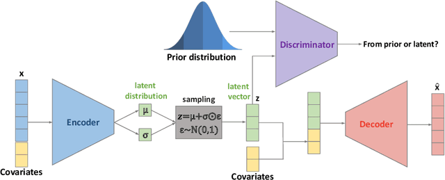 Figure 1 for Normative Modeling via Conditional Variational Autoencoder and Adversarial Learning to Identify Brain Dysfunction in Alzheimer's Disease