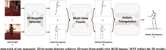 Figure 1 for View Consistency Aware Holistic Triangulation for 3D Human Pose Estimation