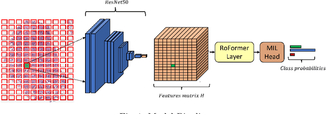 Figure 1 for RoFormer for Position Aware Multiple Instance Learning in Whole Slide Image Classification