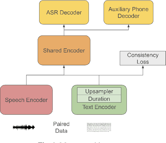 Figure 1 for Understanding Shared Speech-Text Representations