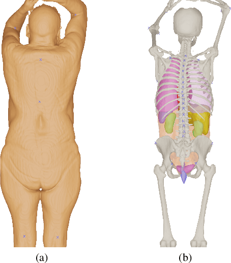 Figure 1 for BOSS: Bones, Organs and Skin Shape Model
