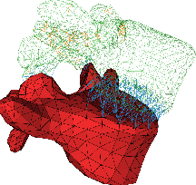 Figure 3 for BOSS: Bones, Organs and Skin Shape Model